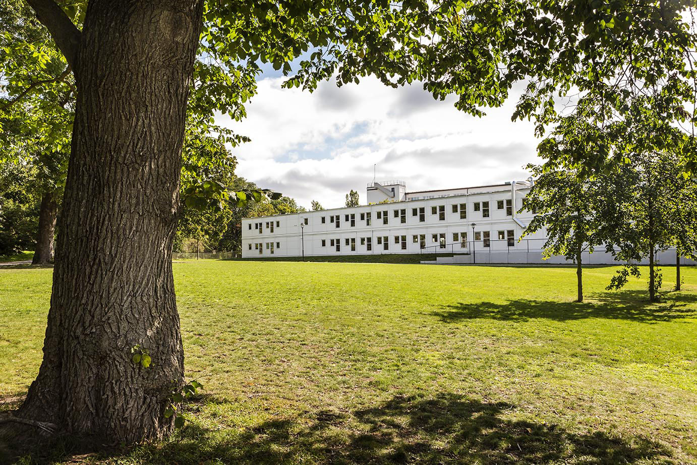 Skollokaler från Expandia vid Sveaplansskolan i Stockholm. En lång vit modulrad i två plan ligger intill en öppen gräsyta, omgiven av stora träd som ramar in vyn. Solen lyser över grönområdet och ger en lugn, park-lik miljö runt skolområdet.